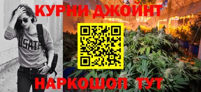 a pvp Гусь-Хрустальный