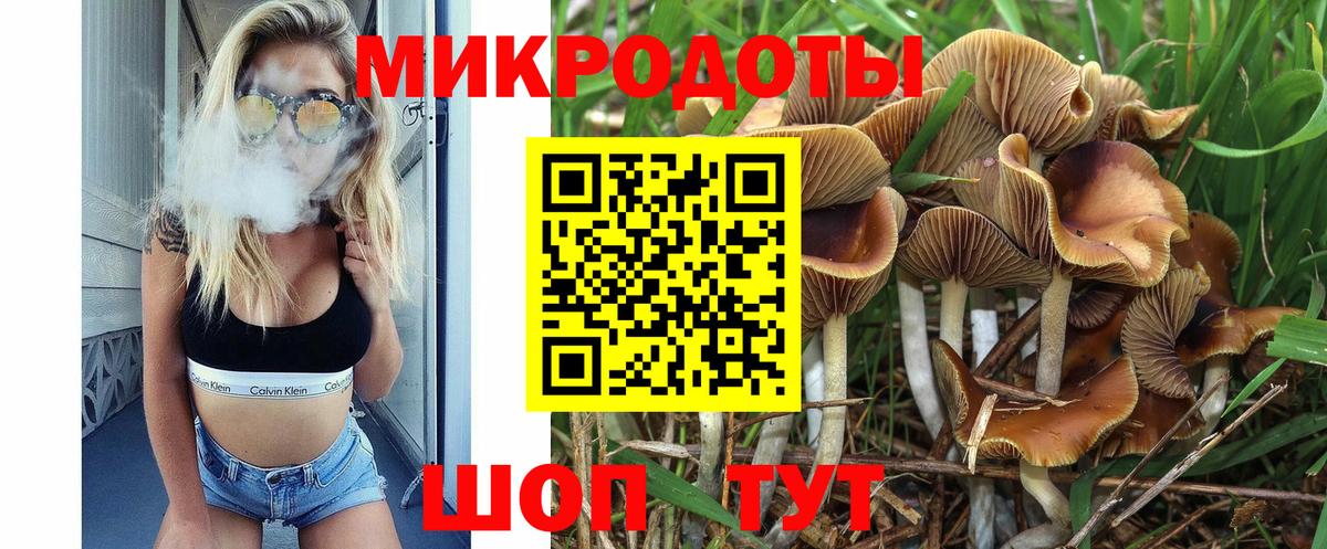 Псилоцибиновые грибы ЛСД Заволжье